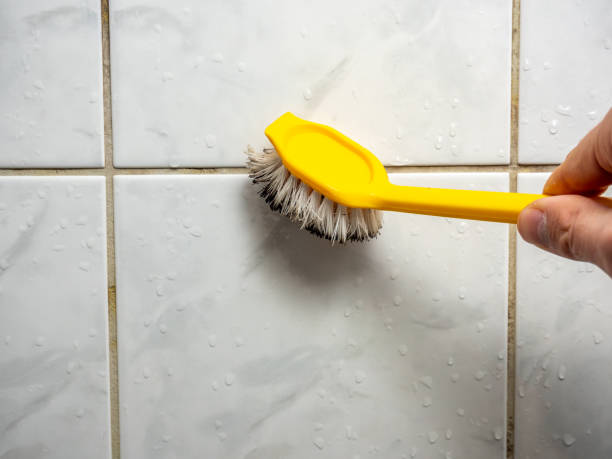 Best Office Mold Removal Services  in Page, AZ