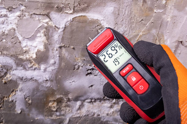 Professional Mold Removal in Page, AZ