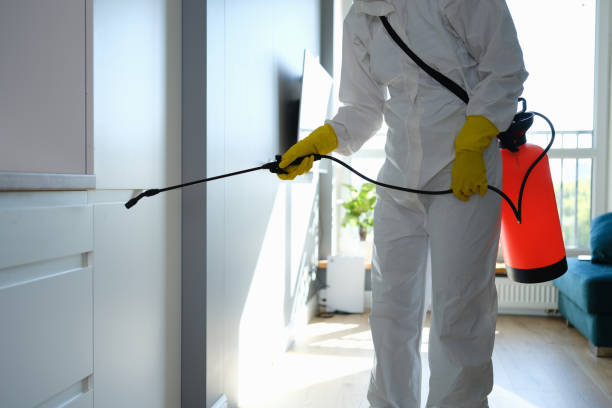 Best Residential Mold Removal  in Page, AZ