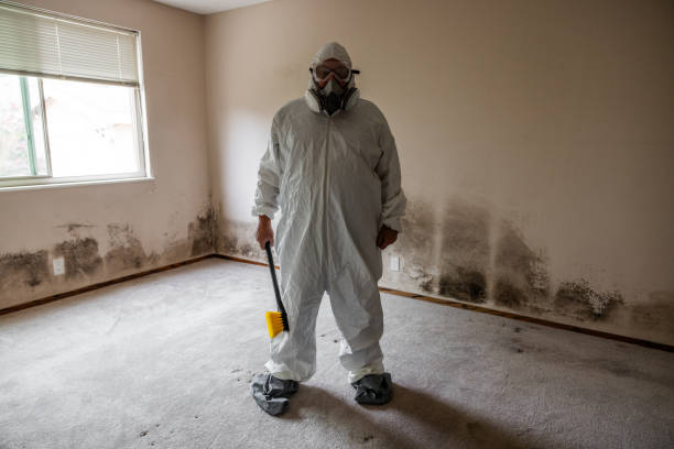 Best Professional Mold Removal  in Page, AZ